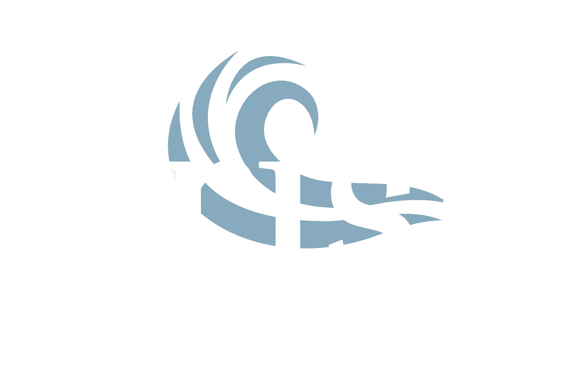 Brisk Accounting